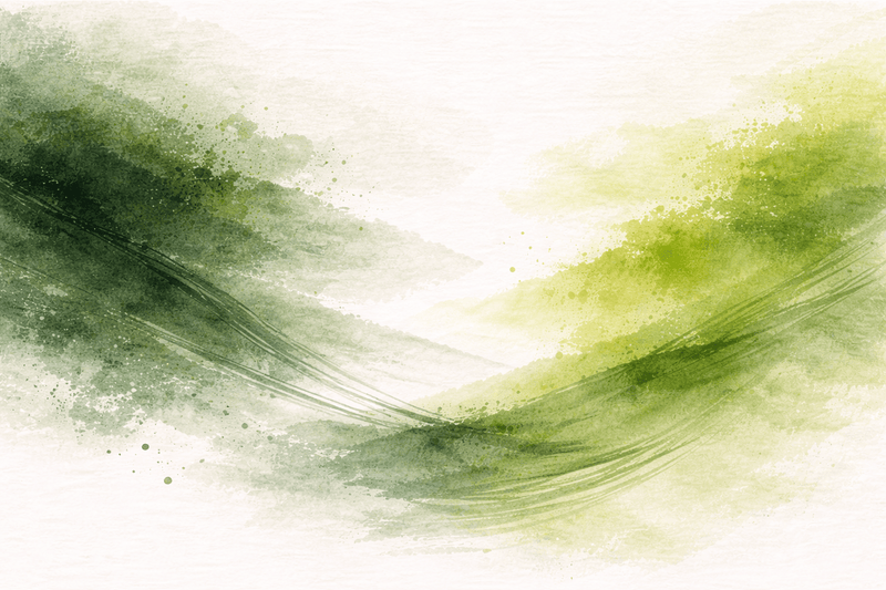 Matcha vs zielona herbata - jaka jest różnica? - CIABA | JAPOŃSKA ZIELONA HERBATA