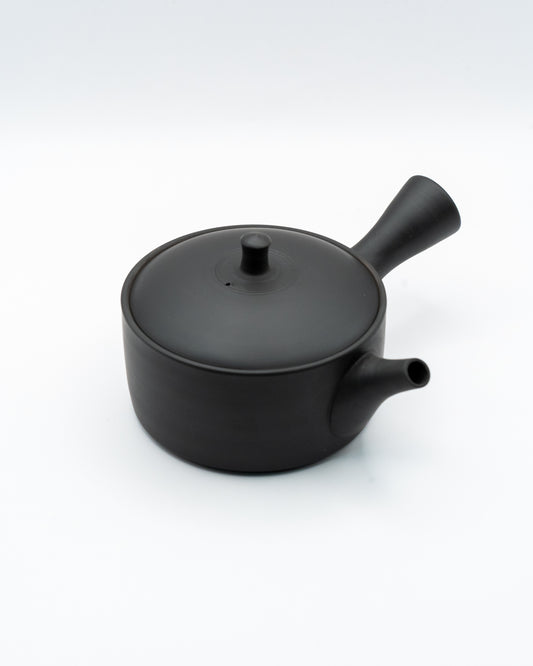 Tokoname-Yaki Kyusu