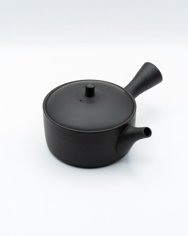 Tokoname-Yaki Kyusu