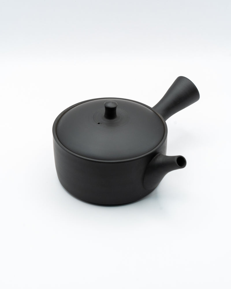 Tokoname-Yaki Kyusu