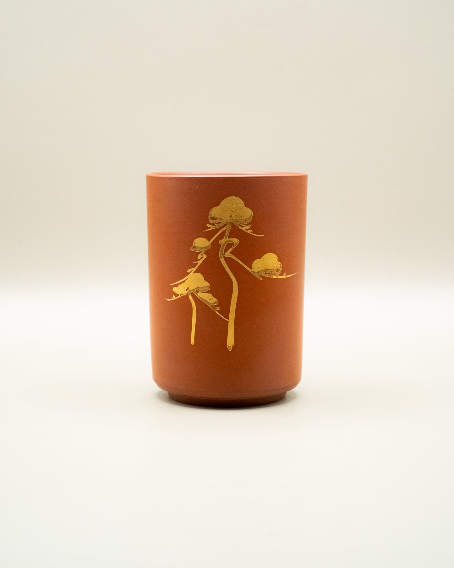 Tokoname-Yaki Yunomi (jedna)