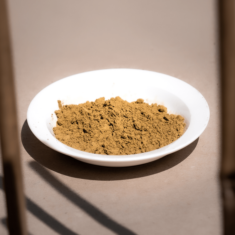 Hojicha Powder - CIABA | JAPOŃSKA ZIELONA HERBATA