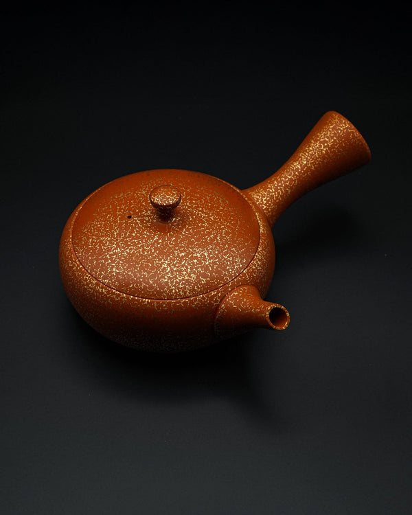 Tokoname - Yaki Kyusu - Tamamitsu kiln by Hirotaka Umehara - CIABA | JAPOŃSKA ZIELONA HERBATA