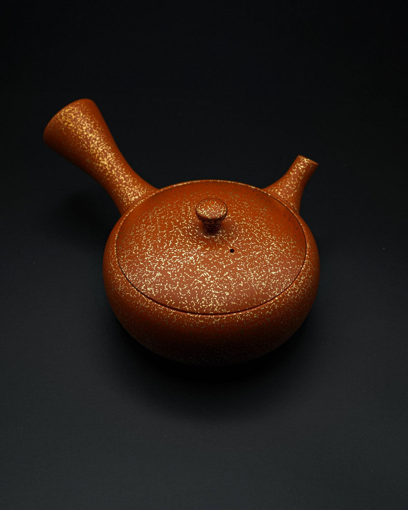 Tokoname - Yaki Kyusu - Tamamitsu kiln by Hirotaka Umehara - CIABA | JAPOŃSKA ZIELONA HERBATA
